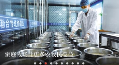 草原全媒客戶端