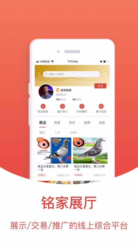 賽鴿頭條