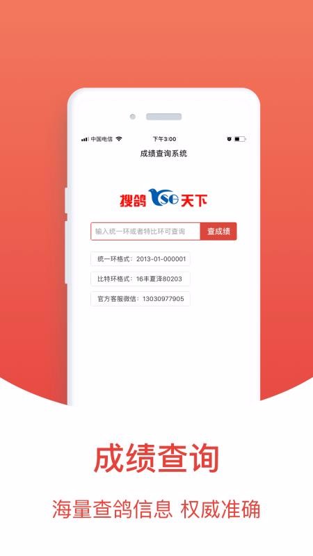 賽鴿頭條