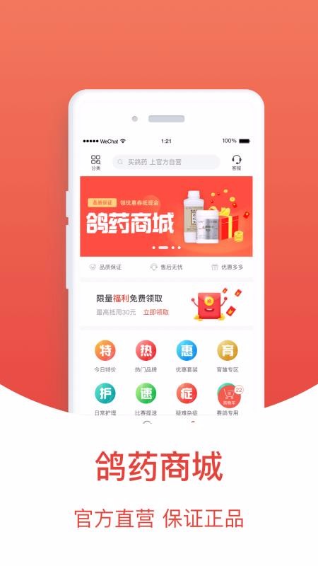 賽鴿頭條