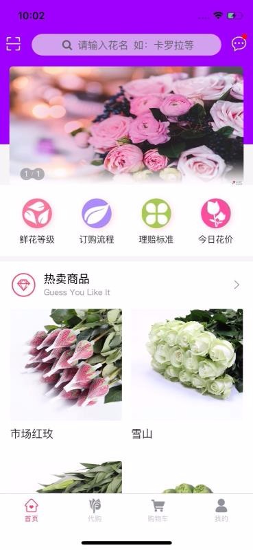 嘉佳花卉鮮花批發(fā)一件代發(fā)