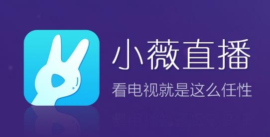 小薇直播tv版apk安裝包下載