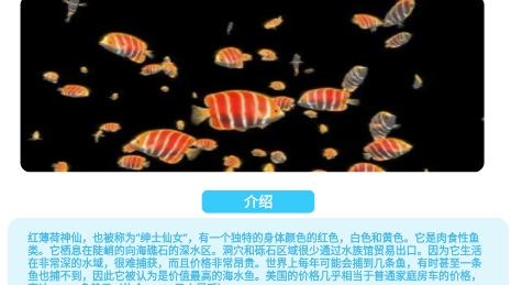 海洋尋寶記app安卓版