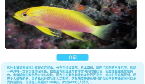 海洋尋寶記app安卓版