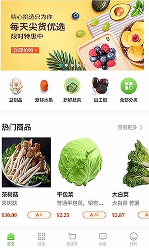 橘子采購