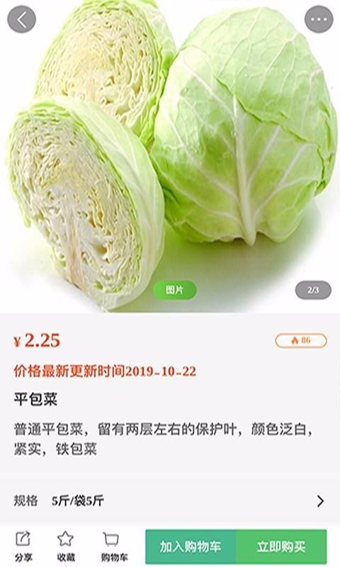 橘子采購