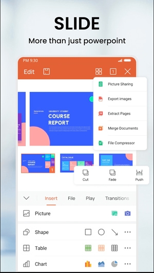 WPS Office精簡版最新版(WPS Office Lite)