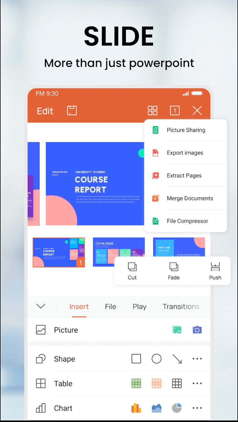 WPS Office精簡版最新版(WPS Office Lite)