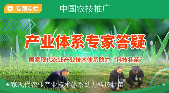中國農(nóng)技推廣信息平臺手機(jī)版