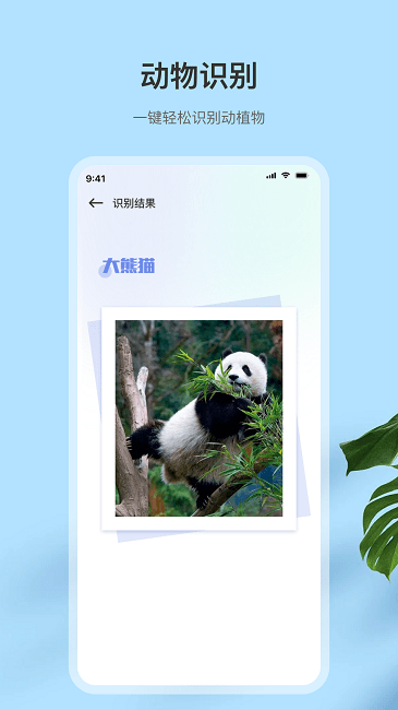 翻譯掃描王app手機(jī)版