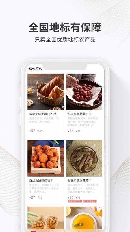 果安奇