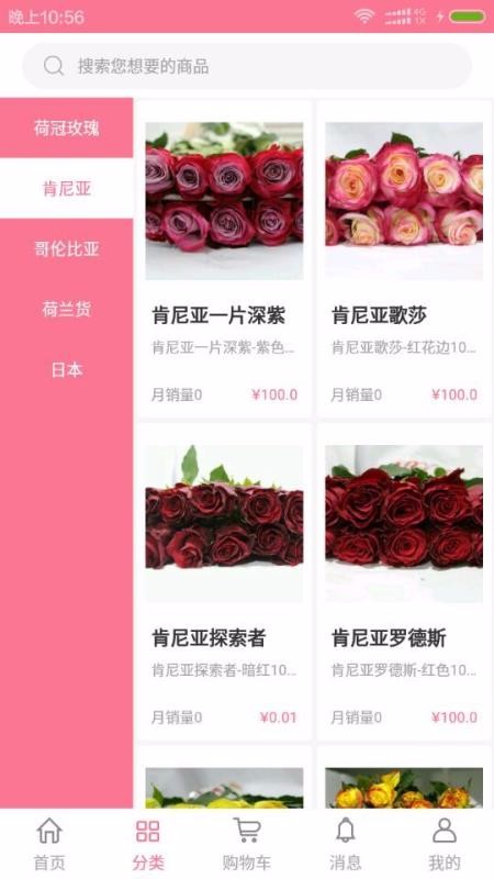 宋宇花城