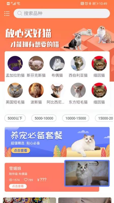 世寵