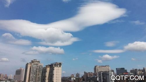 中區(qū)融媒手機(jī)客戶端