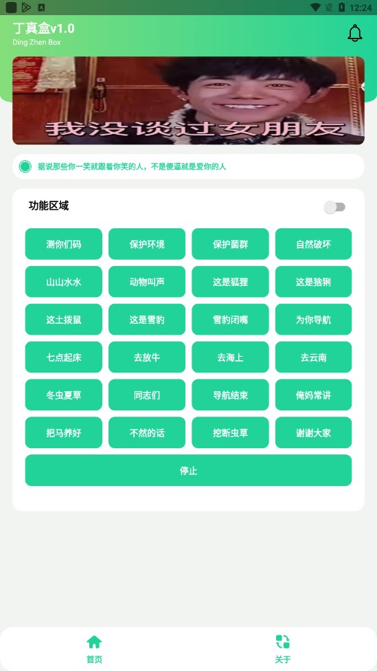 丁真盒最新版