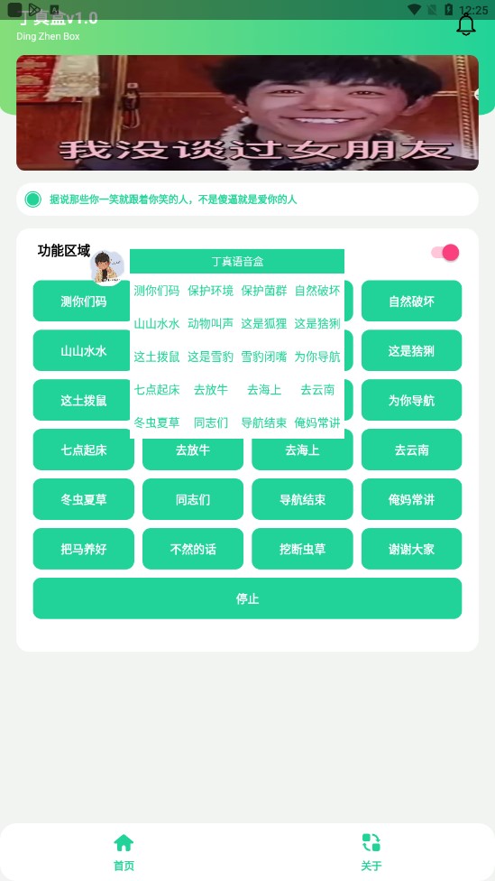 丁真盒最新版