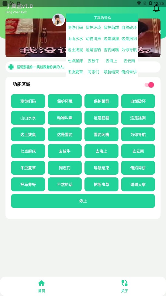 丁真盒最新版