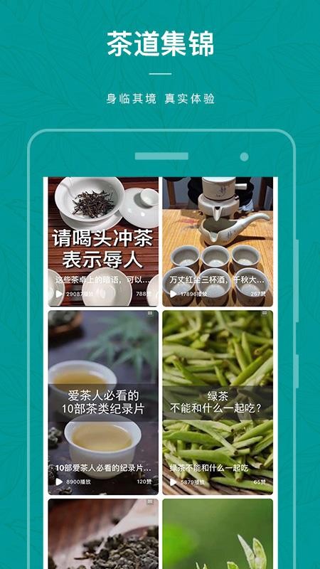 茶物幾何