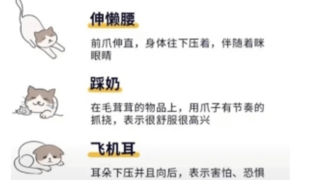 寵物筆記app最新版