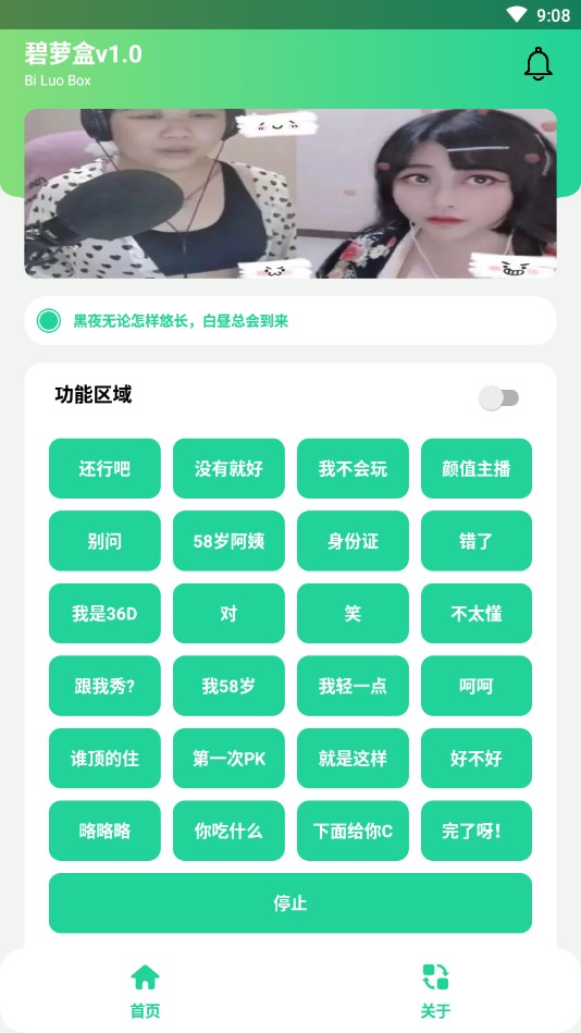 碧蘿盒app官方版