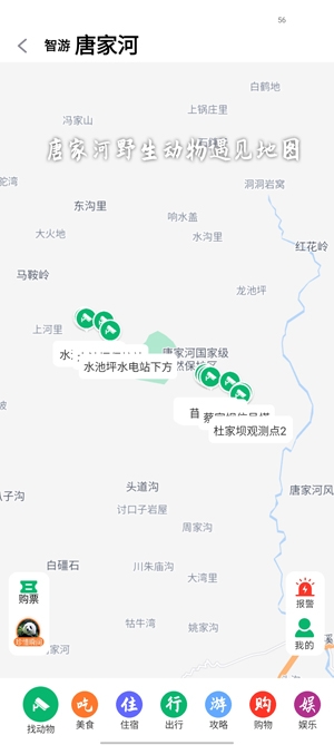 智游青川試用版官方版