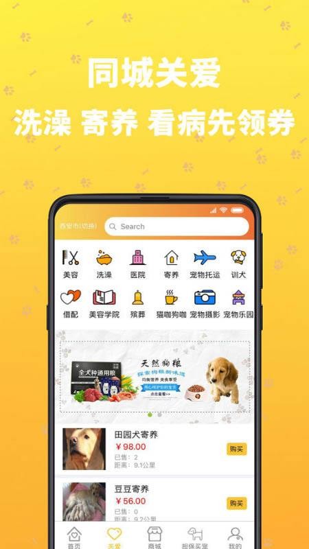 吉寵巴士