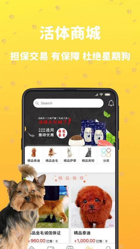吉寵巴士