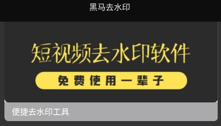 黑馬去水印app安卓版