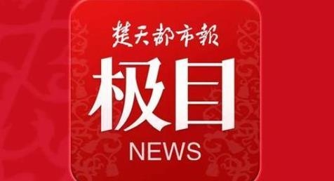 極目新聞app最新版