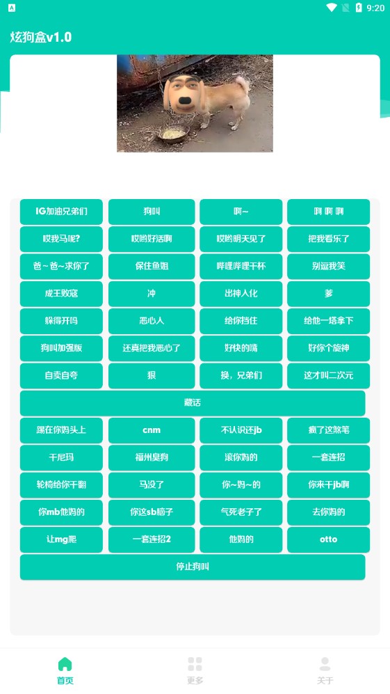 炫狗盒app官方版(炫狗盒v1.0)