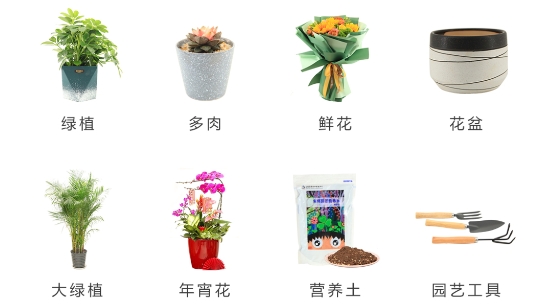 北京花卉app最新版