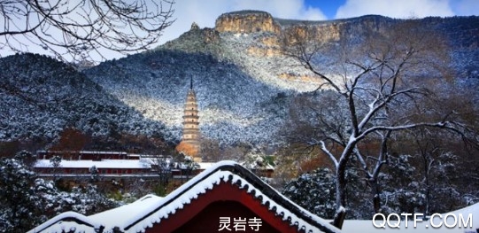 長清融媒客戶端