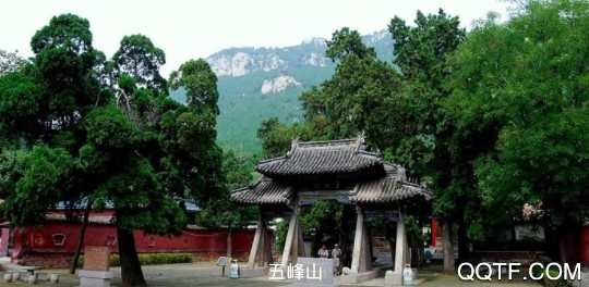 長清融媒客戶端