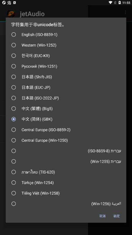 jetAudio播放器中文版