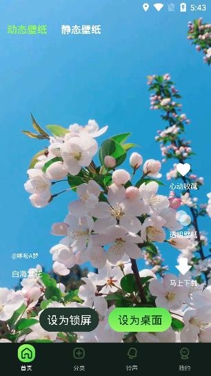 來(lái)玩壁紙秀app手機(jī)版