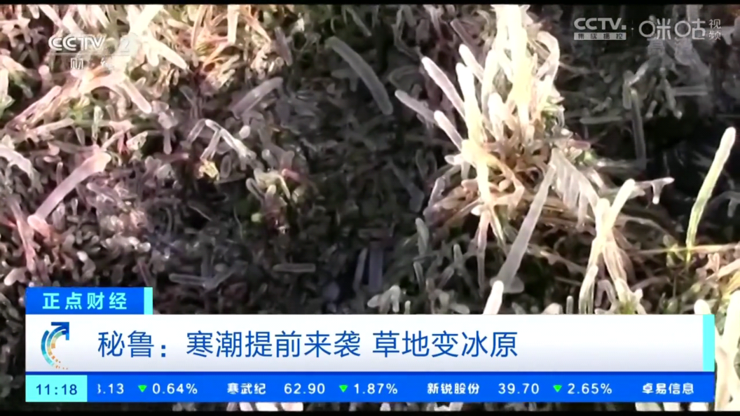 小生TV電視版