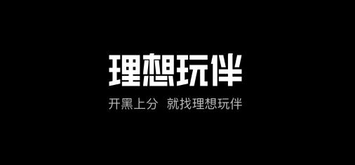 理想玩伴app安卓版