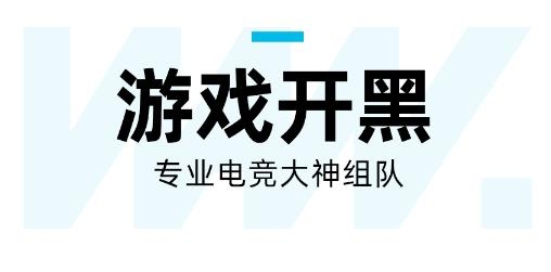 理想玩伴app安卓版