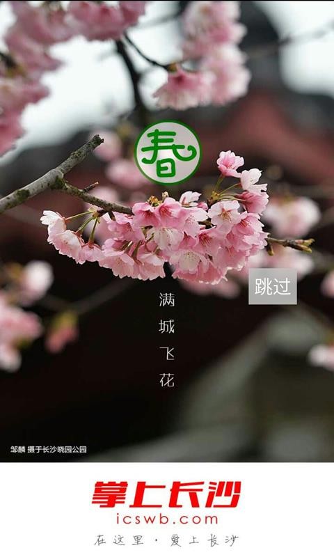 掌上長沙