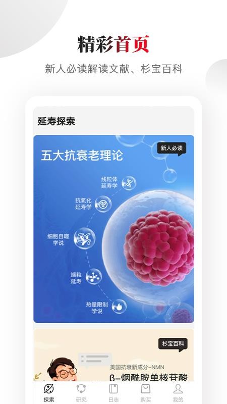 杉寶