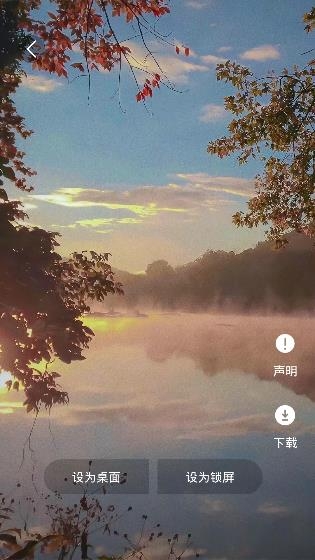 全屏動態(tài)壁紙大全app手機版