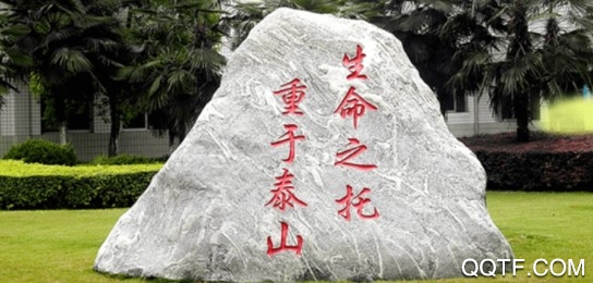 掌上同濟(jì)快速掛號(hào)版