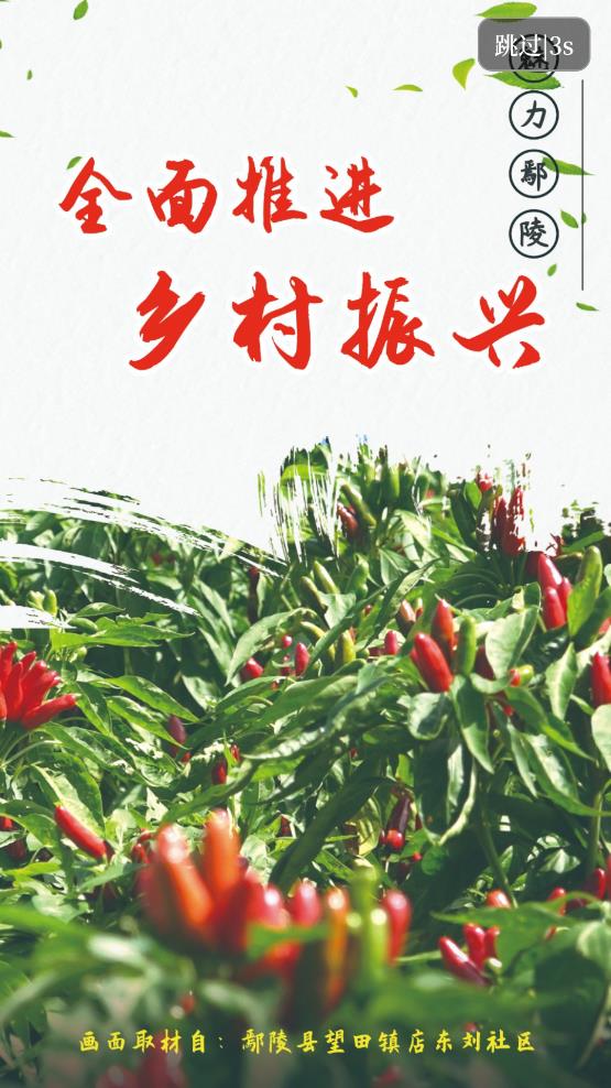云上鄢陵客戶端