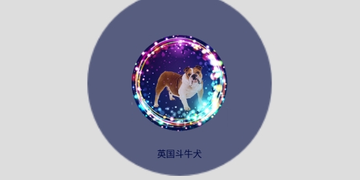 人貓人狗對講機(jī)app官方版