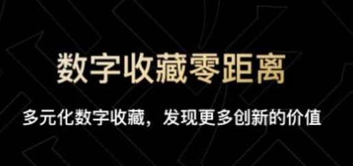 迅雷非同數(shù)藝app官方版
