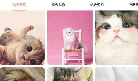 萌寵翻譯器app最新版