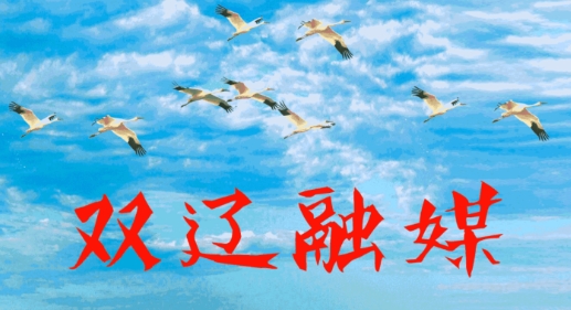 掌上雙遼吉林電視臺手機版