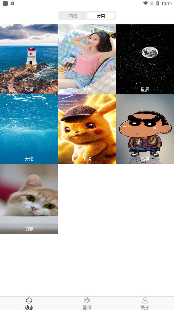 飛花動(dòng)態(tài)壁紙app官方版