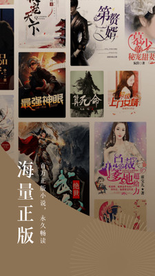 番茄小說賺錢版