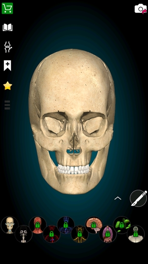 3D解剖學app官方版(Anatomy Learning)